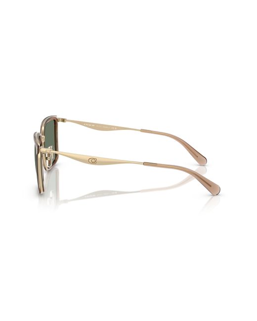 COACH Black Sunglass Hc7171 Cw226 for men