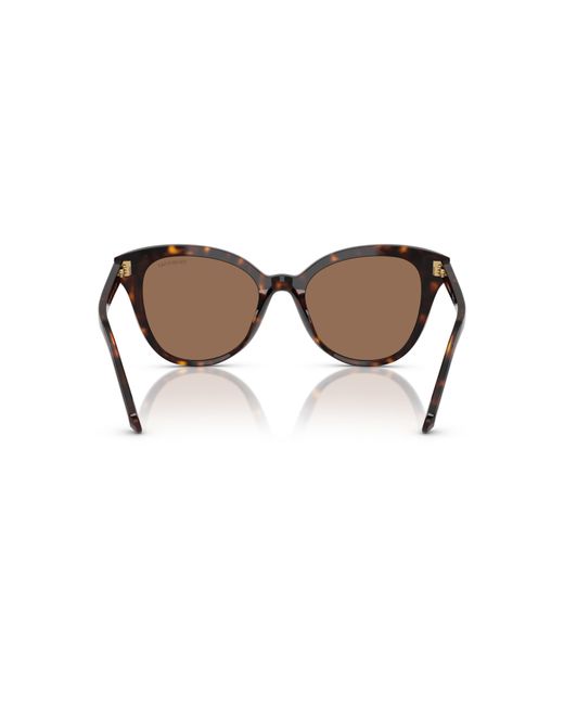 Swarovski Black Sunglass Sk6031