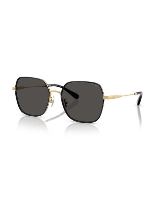 COACH Black Sunglass Cae93
