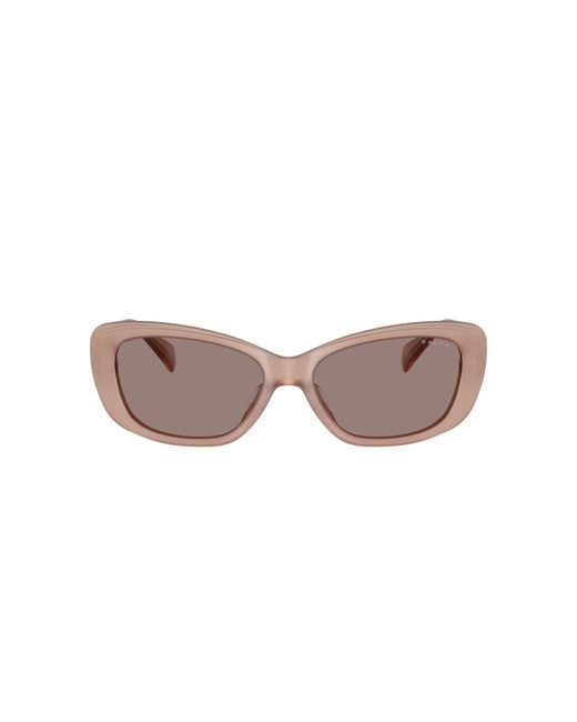 Ralph Black Sunglass Ra5322u