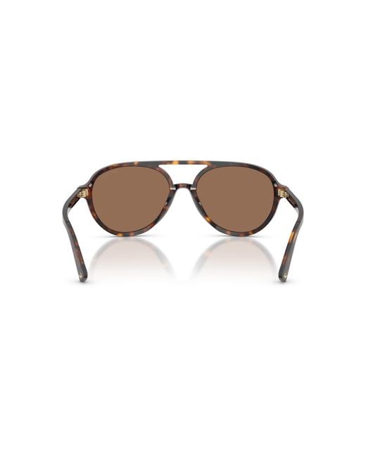Jimmy Choo Black Sunglass Jc5055u
