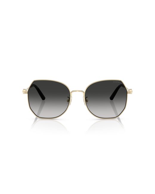 COACH Black Sunglass Cad79
