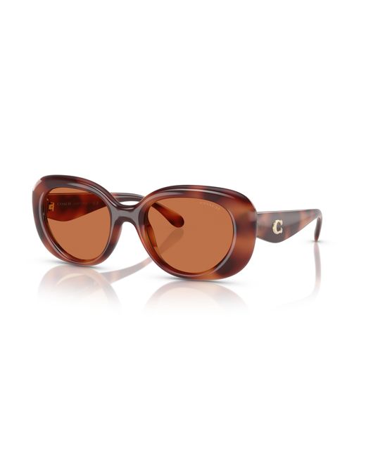COACH Black Sunglass Cr609