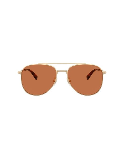 COACH Black Sunglass Cdp40 for men