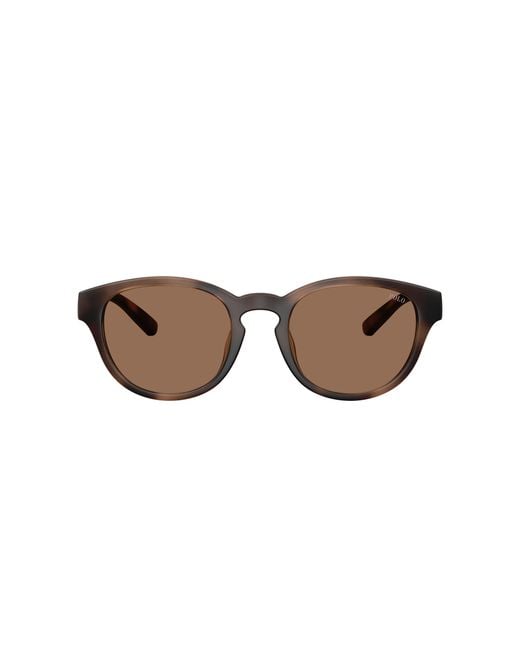 Polo Ralph Lauren Black Sunglass Ph4233u for men