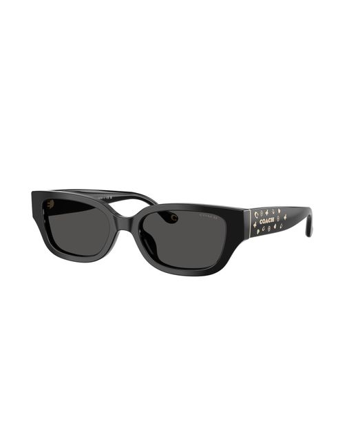 COACH Black Sunglass Cbz52