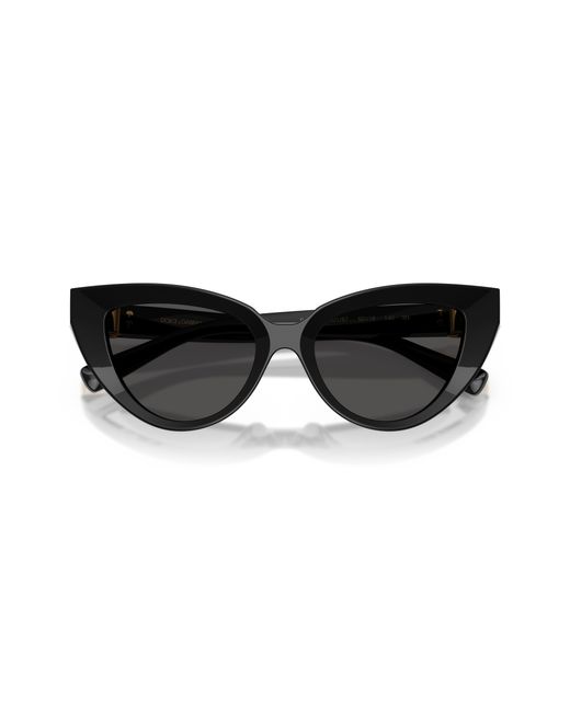 Dolce & Gabbana Black Sunglass Dg4497