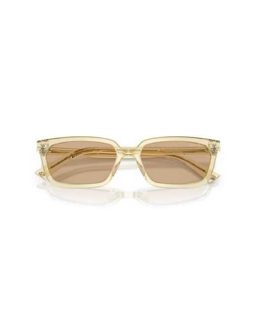 Jimmy Choo Black Sunglass Jc5050u