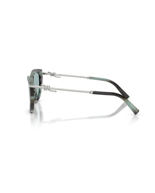 Tiffany & Co Black Sunglass Tf4253