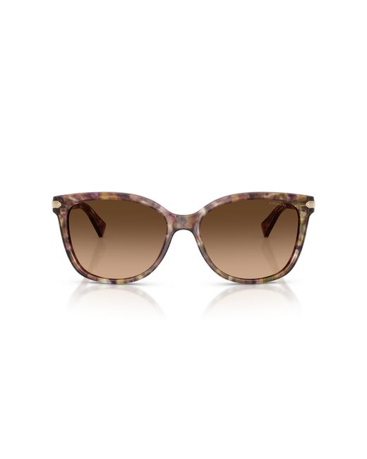 COACH Black Hc8132 Sunglasses