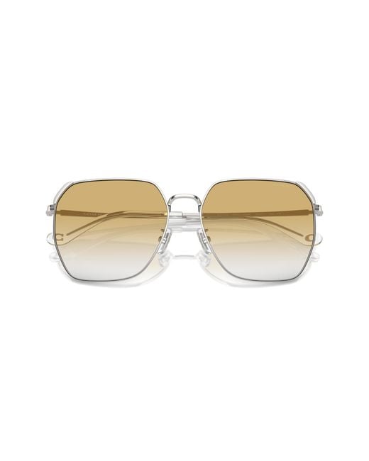 COACH Black Sunglass Cr638