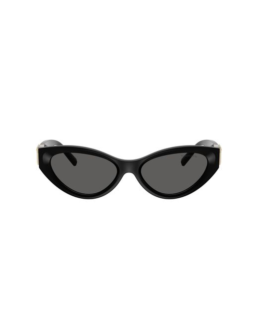 Tiffany & Co Black Sunglasses Tf4225U