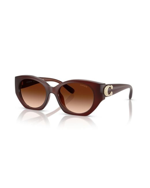 COACH Black Sunglass Cw194