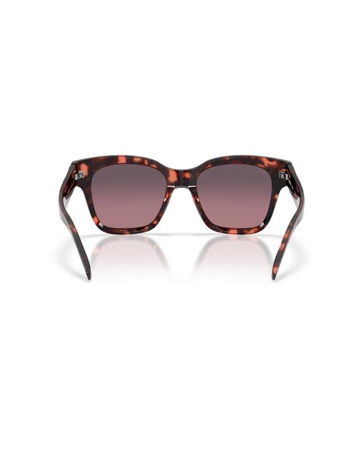 Costa Black Sunglass Nusa
