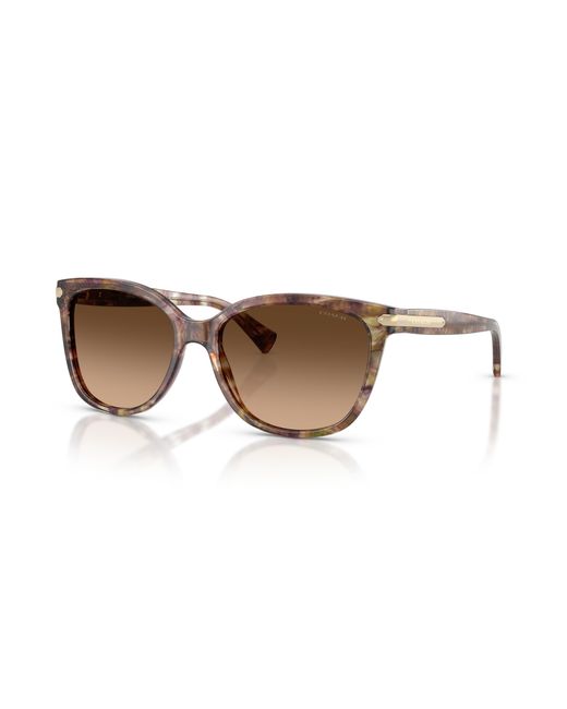 COACH Black Hc8132 Sunglasses