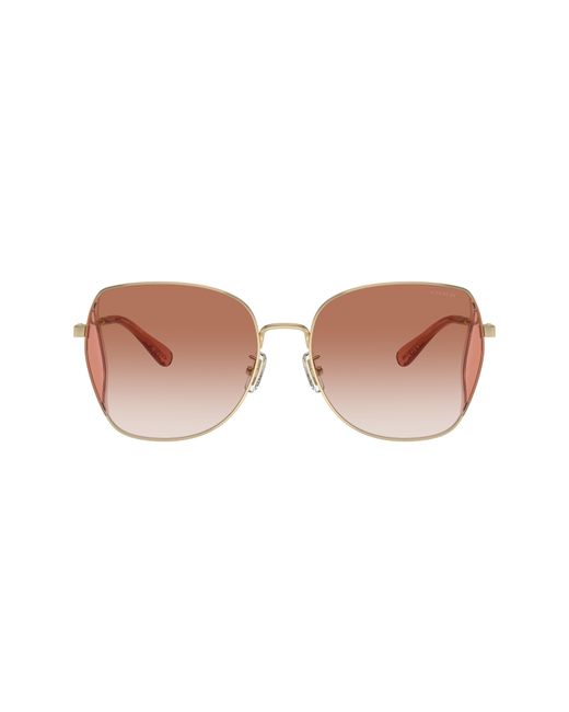 COACH Black Sunglasses Cl906