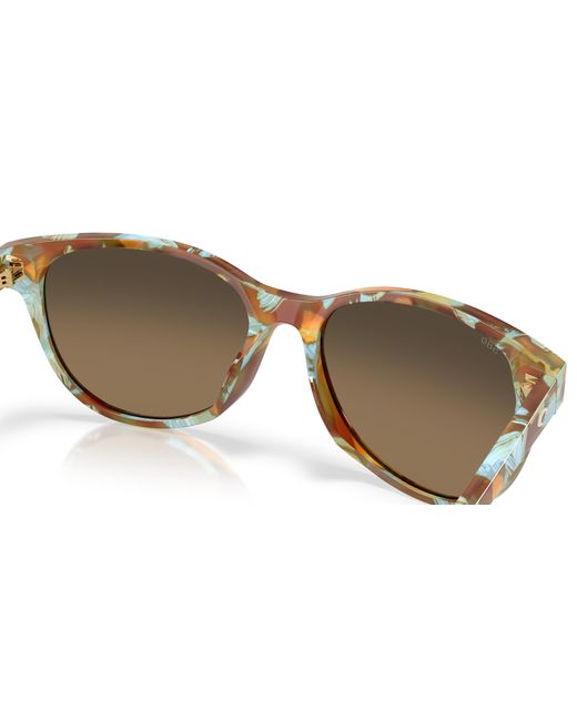 Costa Black Sunglass Catherine