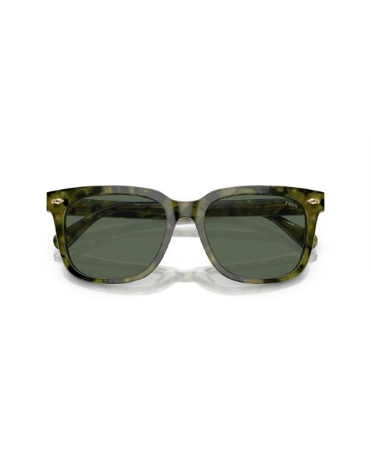 Polo Ralph Lauren Green Sunglass Ph4210 for men
