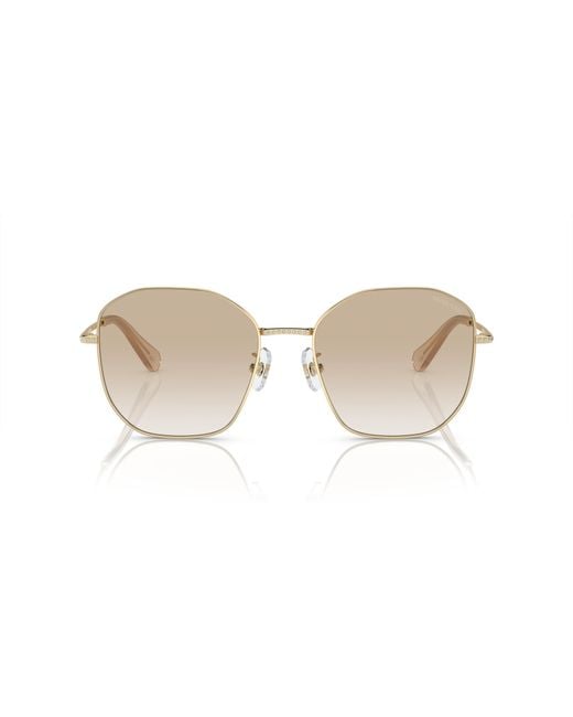 Swarovski Black Sunglass Sk7012d