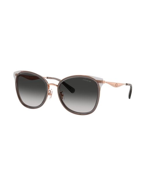 COACH Black Sunglass Cw185