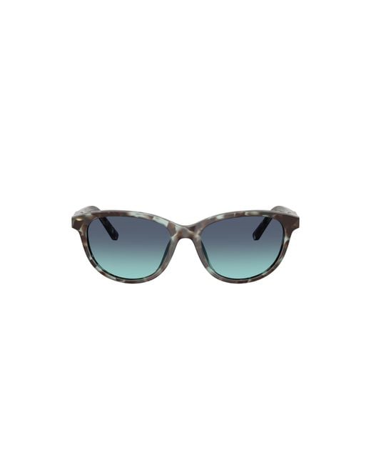 Dolce & Gabbana Black Sunglass Dx4010