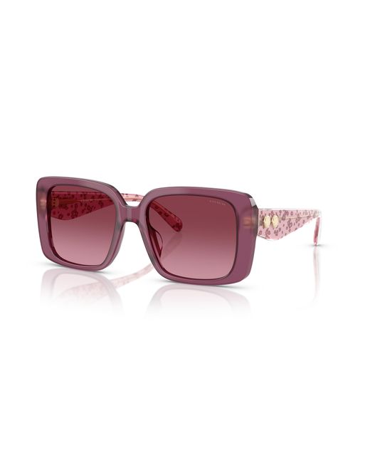 COACH Black Sunglass Cad54