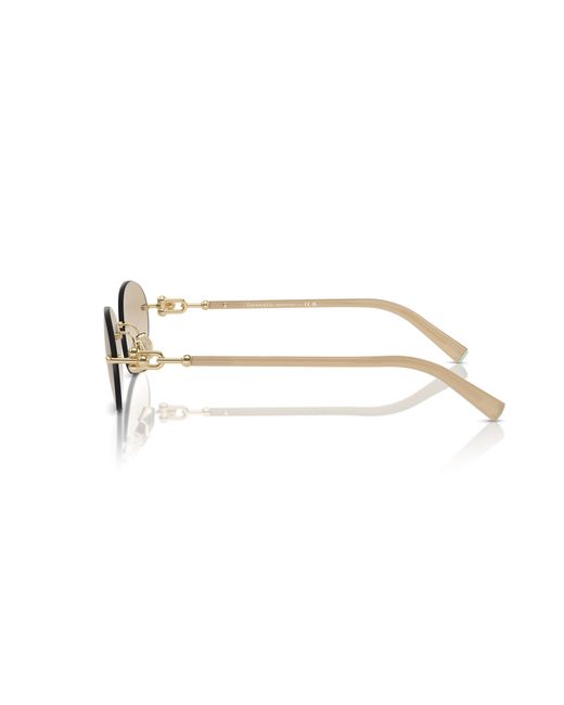 Tiffany & Co Black Sunglass Tf3104d