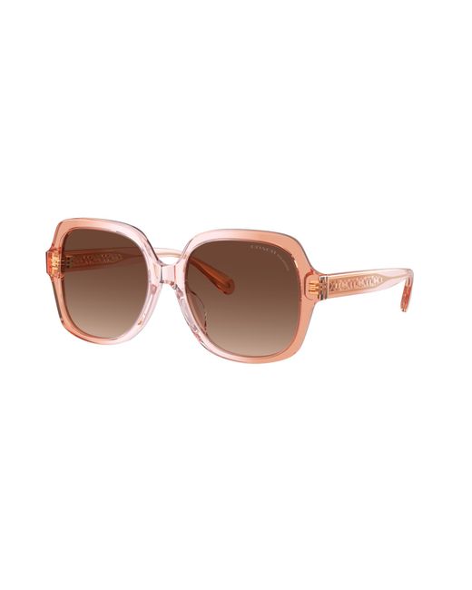 COACH Black Sunglass Cr614