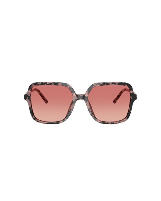 Dolce & Gabbana Black Sunglass Dg4539