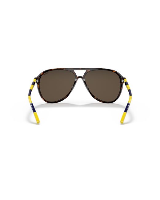 Polo Ralph Lauren Black Sunglass Ph4173 for men