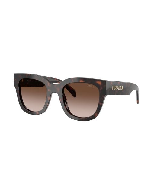 Prada Black Sunglass Pr 14wsf