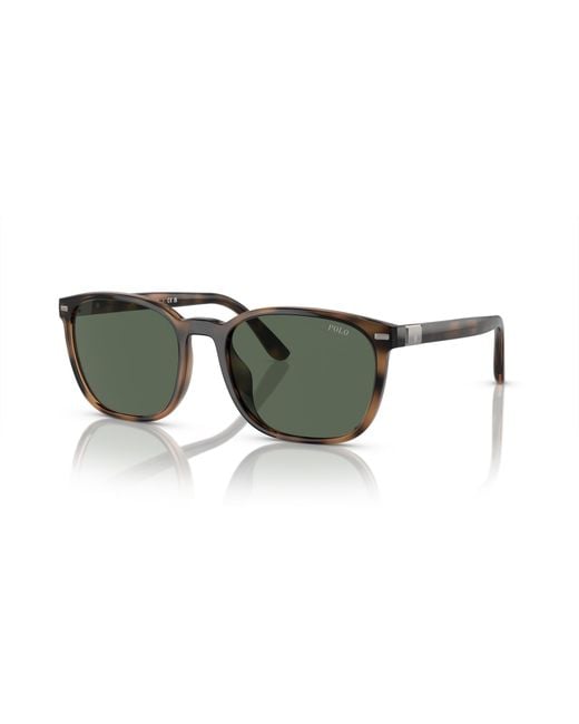 Polo Ralph Lauren Black Sunglass Ph4208u for men