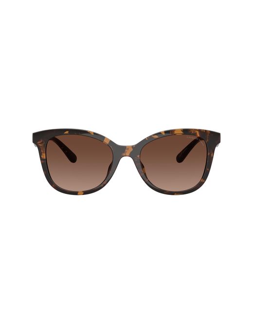 COACH Black Sunglass Hc8419u Cad25