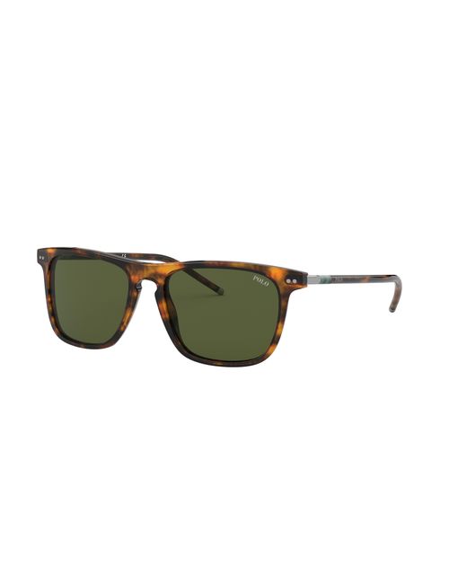 Polo Ralph Lauren Mannelijk Sunglass Ph4168 in het Black voor heren