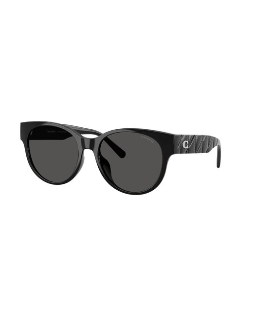 COACH Black Sunglass Cae87