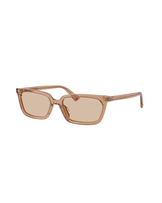Jimmy Choo Black Sunglass Jc5050u