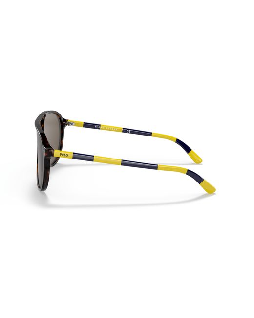 Polo Ralph Lauren Black Sunglass Ph4173 for men