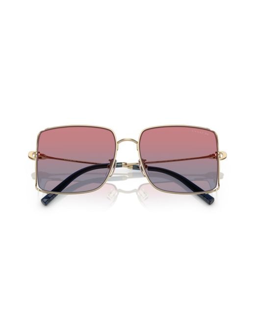 COACH Black Sunglass Cw429