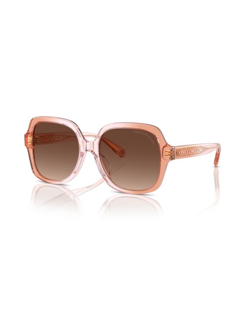 COACH Black Sunglass Cr614