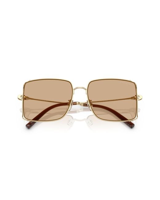 COACH Black Sunglass Cw429