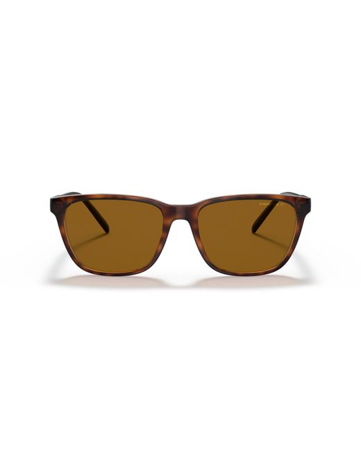 Arnette Black Sunglass An4291 Cortex for men