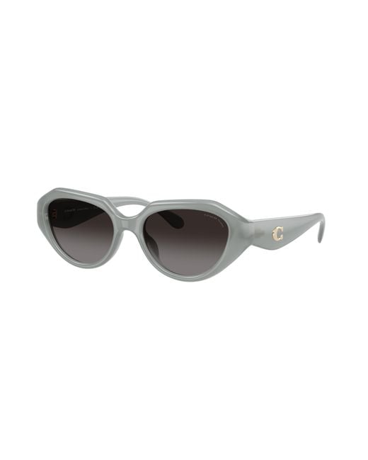COACH Black Sunglass Cby77