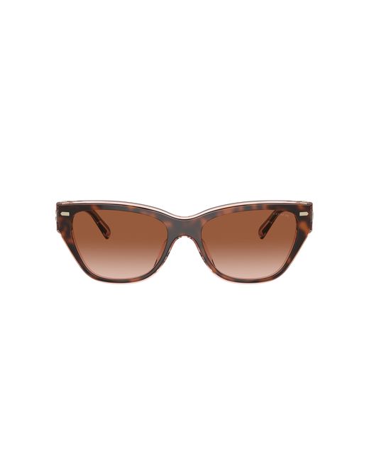 COACH Black Hc8370u Universal Fit Sunglasses