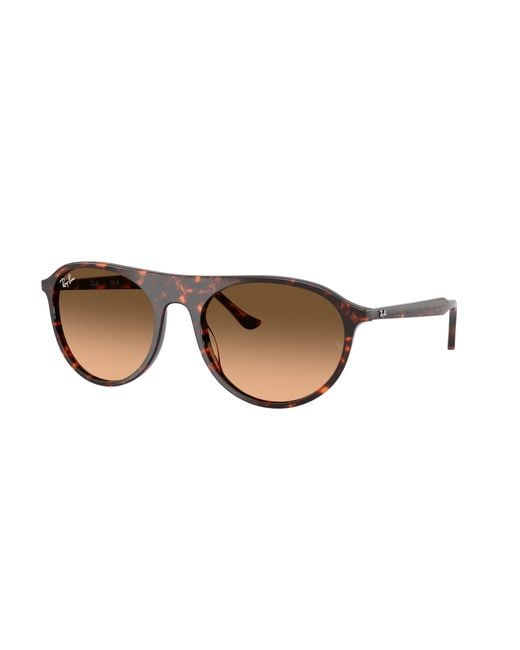 Ray-Ban Black Ray