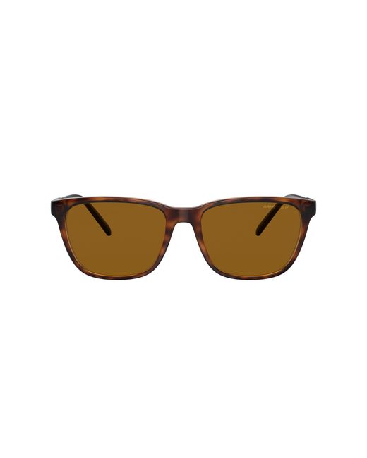 Arnette Black Sunglass An4291 Cortex for men