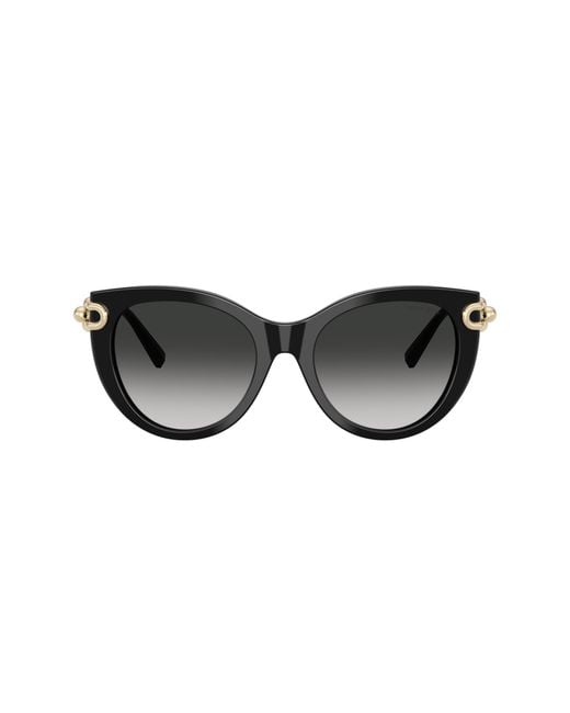 Tiffany & Co Black Sunglass Tf4232f