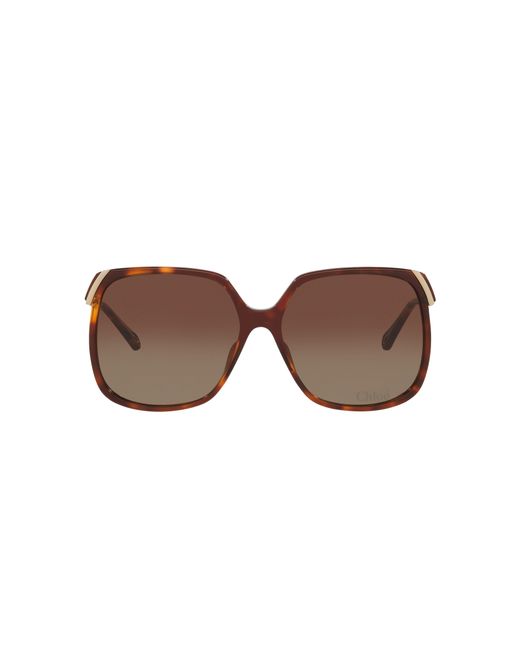 Chloé Black Sunglass Ch0286s
