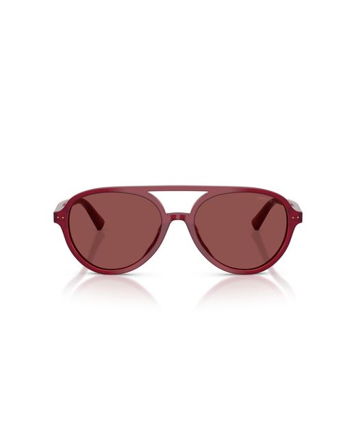 Jimmy Choo Black Sunglass Jc5055u