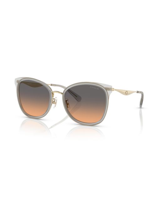 COACH Black Sunglass Cw185