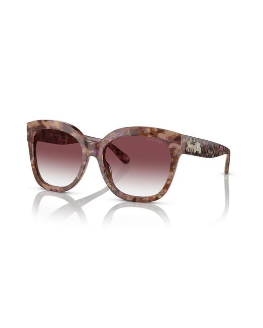 COACH Black Sunglass L1083